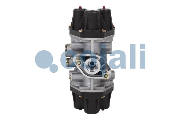 Cojali Multicircuit beschermingsklep 2222309