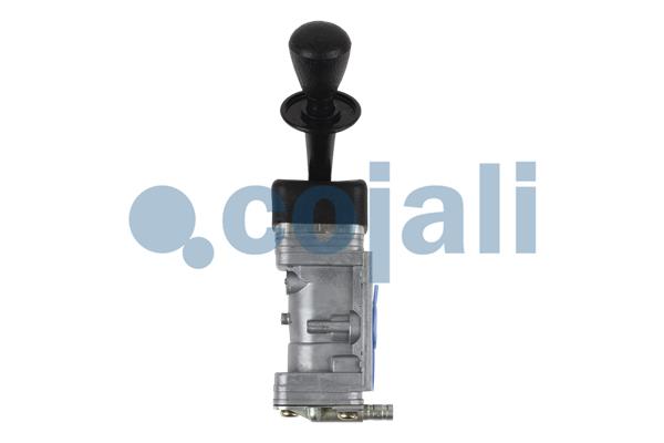 Cojali Remklep 2224306