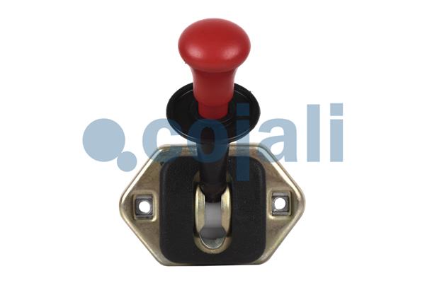 Cojali Remklep 2224319
