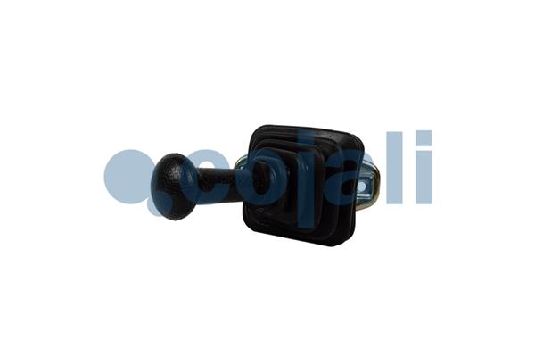 Cojali Remklep 2224403