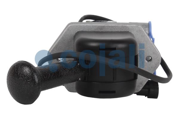 Cojali Remklep 2224518