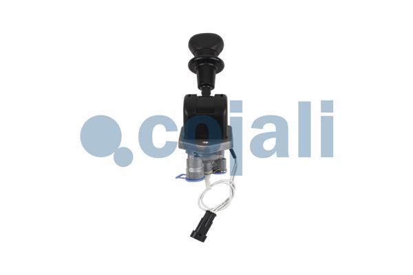 Cojali Remklep 2224567
