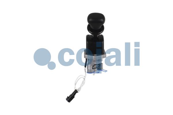 Cojali Remklep 2224567