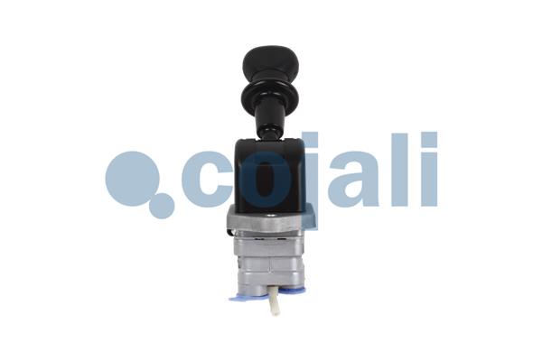 Cojali Remklep 2224568