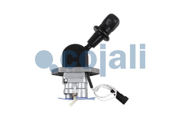 Cojali Remklep 2224568