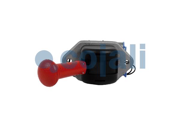 Cojali Remklep 2224569