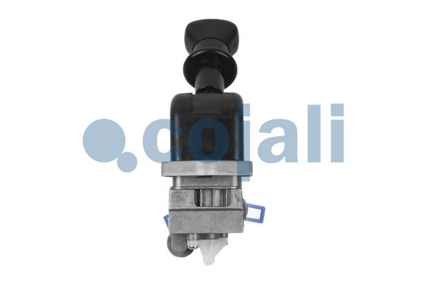 Cojali Remklep 2224572
