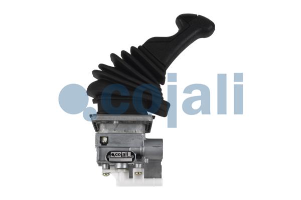 Cojali Remklep 2224573