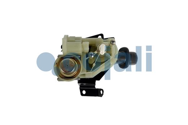 Cojali Remklep 2224611
