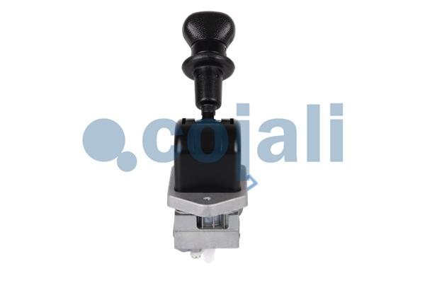 Cojali Remklep 2224614