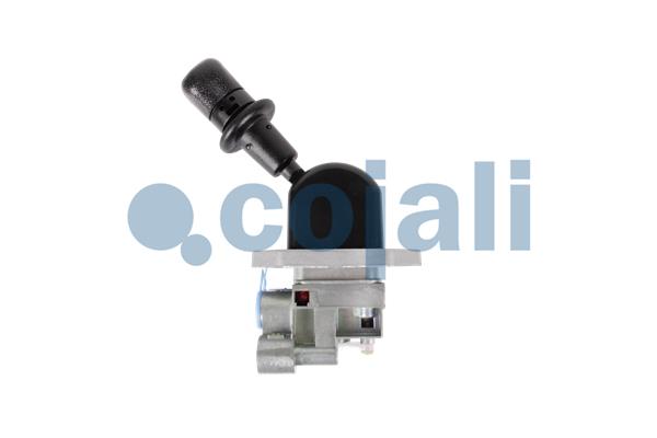 Cojali Remklep 2224614