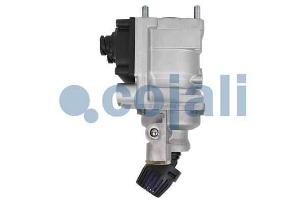Cojali Remklep 2232004