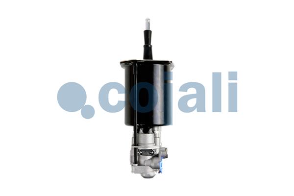 Cojali Koppelingsversterker 2250227