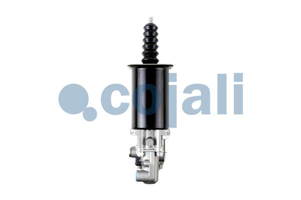 Cojali Koppelingsversterker 2250257