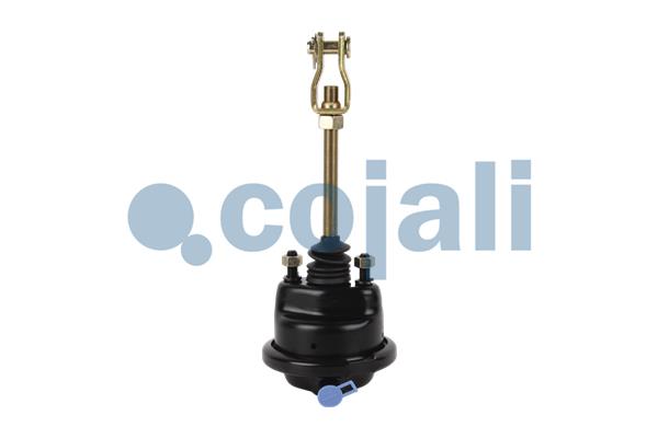 Remcilindermembraan Cojali 2251100