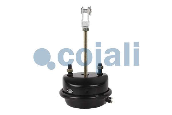 Remcilindermembraan Cojali 2251111