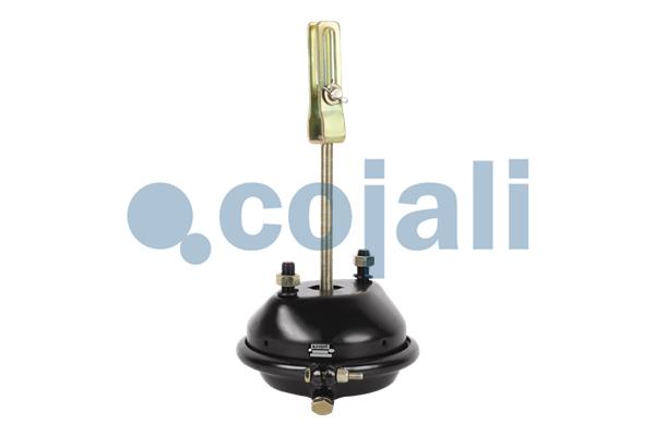 Remcilindermembraan Cojali 2251112