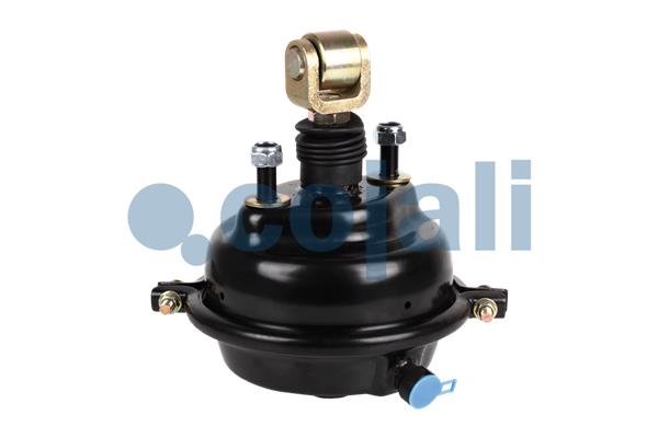 Remcilindermembraan Cojali 2251116