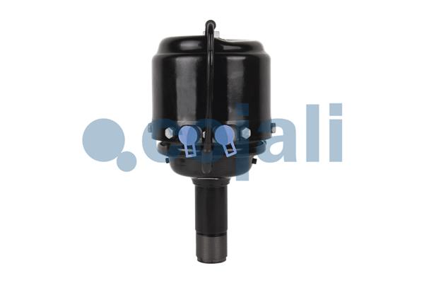 Veeraccumulator remcilinder Cojali 2251302