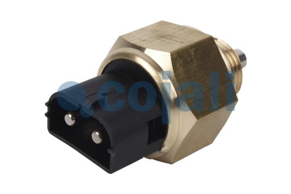 Controleschakelaar Cojali 2260361