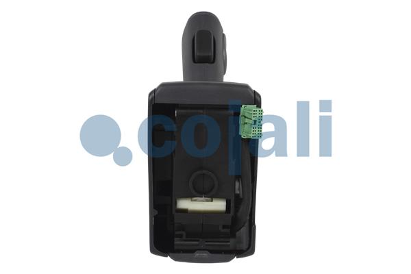 Cojali Pookknoppen  2260631