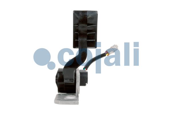 Cojali Gaspedaal positiesensor 2260655