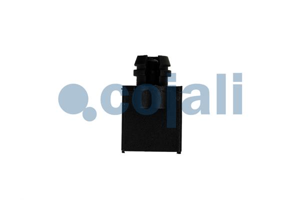 Buitentemperatuur sensor Cojali 2260850