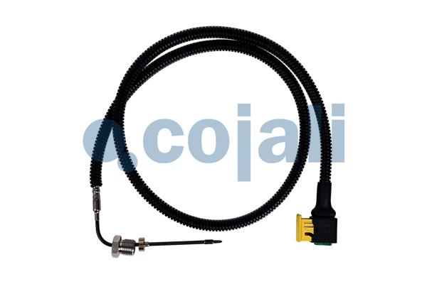 Sensor uitlaatgastemperatuur Cojali 2260884