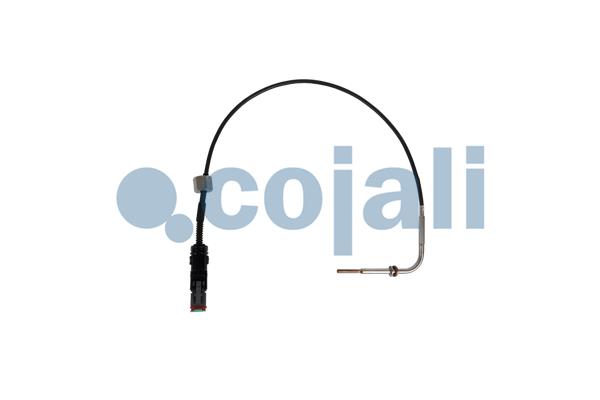 Sensor uitlaatgastemperatuur Cojali 2260907