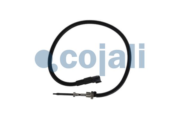 Sensor uitlaatgastemperatuur Cojali 2262005