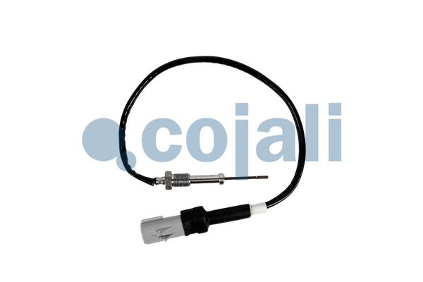 Sensor uitlaatgastemperatuur Cojali 2262006