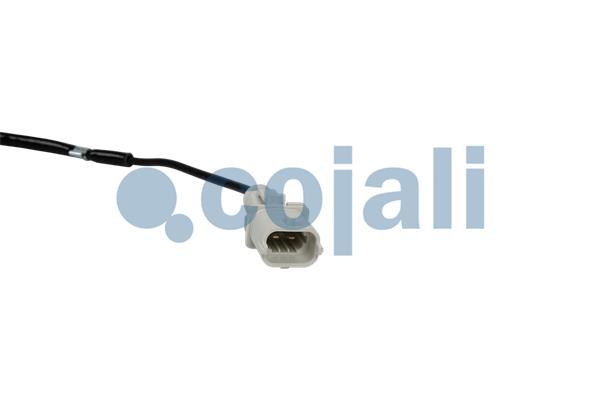 Cojali Sensor uitlaatgastemperatuur 2262018