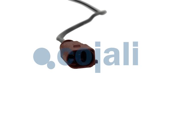 Cojali Sensor uitlaatgastemperatuur 2262020