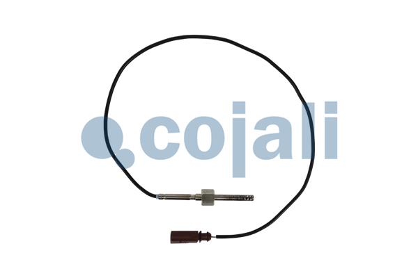 Sensor uitlaatgastemperatuur Cojali 2262021