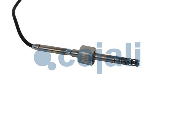Cojali Sensor uitlaatgastemperatuur 2262021