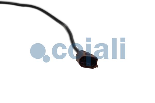 Cojali Sensor uitlaatgastemperatuur 2262021