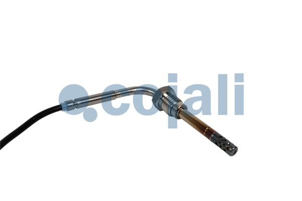 Cojali Sensor uitlaatgastemperatuur 2262022