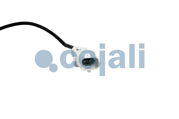 Cojali Sensor uitlaatgastemperatuur 2262022