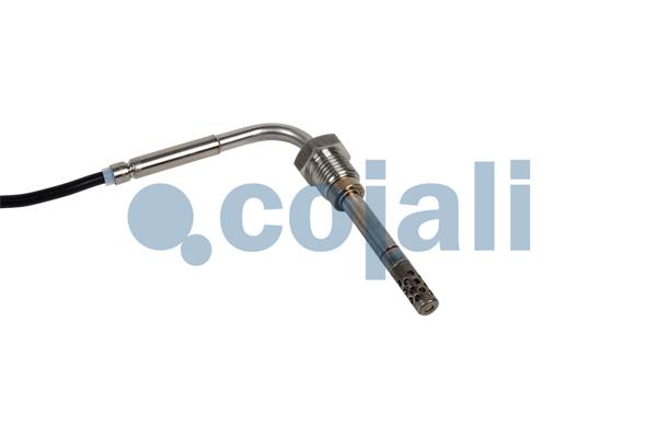 Cojali Sensor uitlaatgastemperatuur 2262023