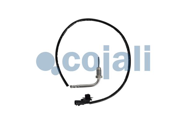 Sensor uitlaatgastemperatuur Cojali 2262025