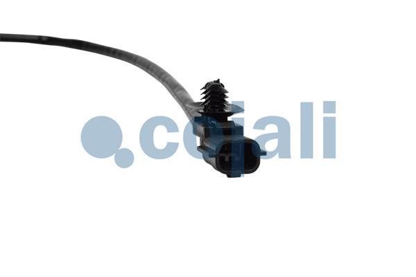 Cojali Sensor uitlaatgastemperatuur 2262025