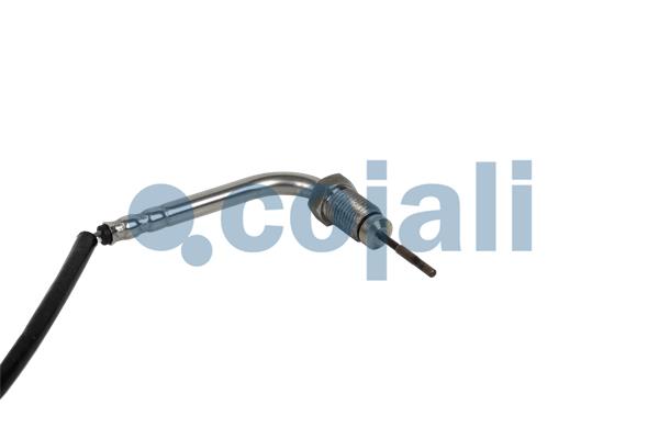 Cojali Sensor uitlaatgastemperatuur 2262025