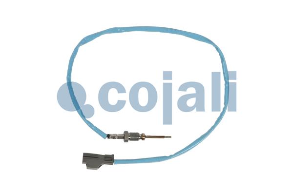 Sensor uitlaatgastemperatuur Cojali 2262026