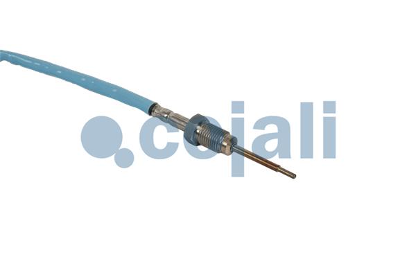 Cojali Sensor uitlaatgastemperatuur 2262026