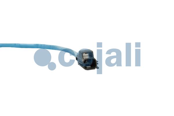 Cojali Sensor uitlaatgastemperatuur 2262026