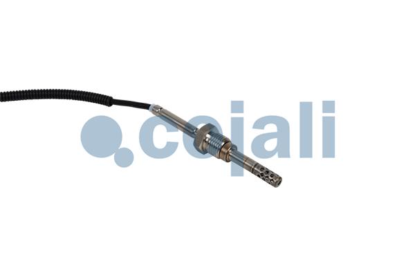Cojali Sensor uitlaatgastemperatuur 2262027