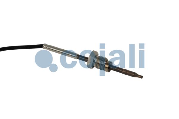 Cojali Sensor uitlaatgastemperatuur 2262029