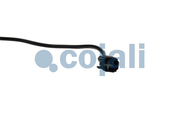 Cojali Sensor uitlaatgastemperatuur 2262029