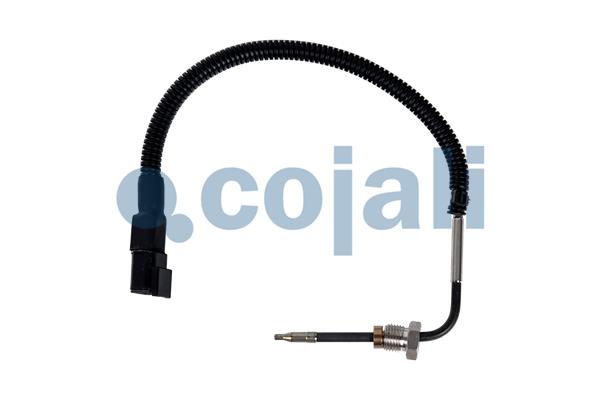 Sensor uitlaatgastemperatuur Cojali 2262065