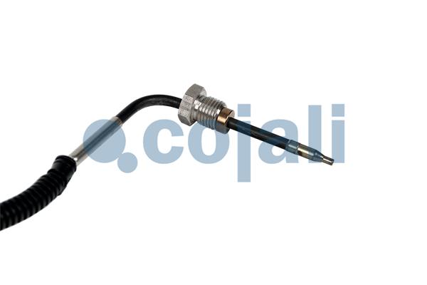 Cojali Sensor uitlaatgastemperatuur 2262065